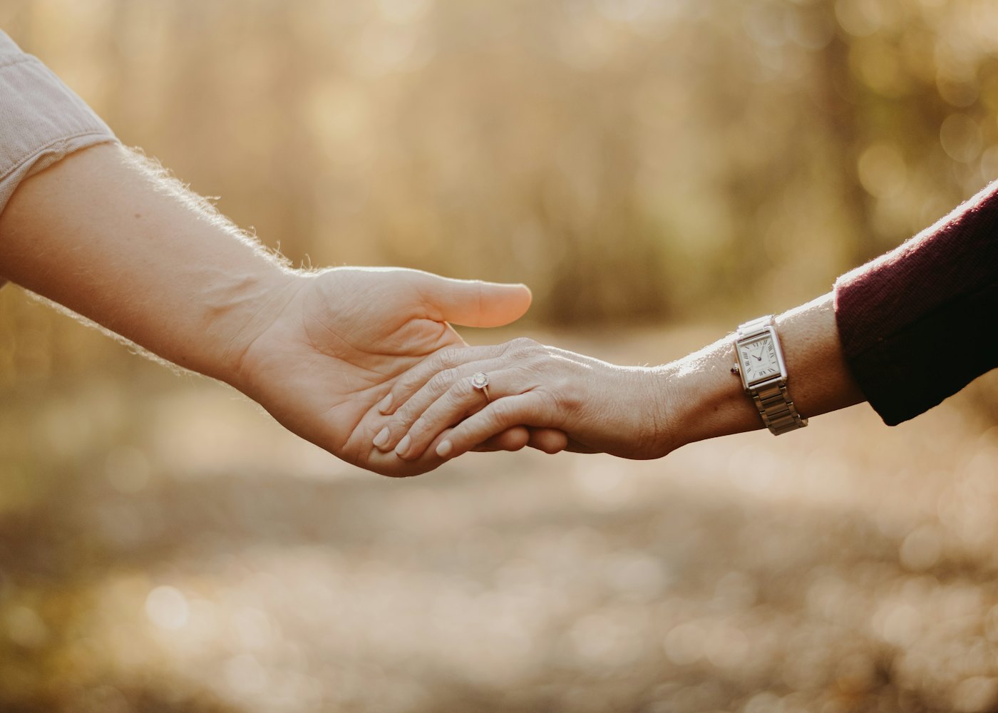 Two people holding hands in soft autumn light